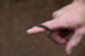 Beeldnr : 37 van 57
Naam : jj5q2787.jpg
Folder : fotos/jaren-201x/2019-2/borger/26-mei/
Formaat : 1200 x 800px
Thumb : 120 x 80px
Richting : Landschap
Bloknr : 1 van 2
Beeldnrs : 1 tm 50
Beelden in blok : 50