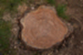 Beeldnr : 38 van 57
Naam : jj5q2789.jpg
Folder : fotos/jaren-201x/2019-2/borger/26-mei/
Formaat : 1200 x 800px
Thumb : 120 x 80px
Richting : Landschap
Bloknr : 1 van 2
Beeldnrs : 1 tm 50
Beelden in blok : 50