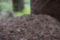 Beeldnr : 41 van 57
Naam : jj5q2793.jpg
Folder : fotos/jaren-201x/2019-2/borger/26-mei/
Formaat : 1200 x 800px
Thumb : 120 x 80px
Richting : Landschap
Bloknr : 1 van 2
Beeldnrs : 1 tm 50
Beelden in blok : 50