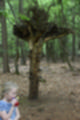 Beeldnr : 42 van 57
Naam : jj5q2796.jpg
Folder : fotos/jaren-201x/2019-2/borger/26-mei/
Formaat : 800 x 1200px
Thumb : 80 x 120px
Richting : Portret
Bloknr : 1 van 2
Beeldnrs : 1 tm 50
Beelden in blok : 50
