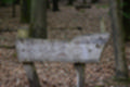 Beeldnr : 43 van 57
Naam : jj5q2800.jpg
Folder : fotos/jaren-201x/2019-2/borger/26-mei/
Formaat : 1200 x 800px
Thumb : 120 x 80px
Richting : Landschap
Bloknr : 1 van 2
Beeldnrs : 1 tm 50
Beelden in blok : 50