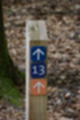Beeldnr : 44 van 57
Naam : jj5q2801.jpg
Folder : fotos/jaren-201x/2019-2/borger/26-mei/
Formaat : 800 x 1200px
Thumb : 80 x 120px
Richting : Portret
Bloknr : 1 van 2
Beeldnrs : 1 tm 50
Beelden in blok : 50