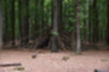 Beeldnr : 47 van 57
Naam : jj5q2805.jpg
Folder : fotos/jaren-201x/2019-2/borger/26-mei/
Formaat : 1200 x 800px
Thumb : 120 x 80px
Richting : Landschap
Bloknr : 1 van 2
Beeldnrs : 1 tm 50
Beelden in blok : 50