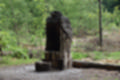 Beeldnr : 52 van 57
Naam : jj5q2811.jpg
Folder : fotos/jaren-201x/2019-2/borger/26-mei/
Formaat : 1200 x 800px
Thumb : 120 x 80px
Richting : Landschap
Bloknr : 2 van 2
Beeldnrs : 51 tm 57
Beelden in blok : 7