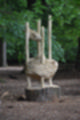 Beeldnr : 53 van 57
Naam : jj5q2812.jpg
Folder : fotos/jaren-201x/2019-2/borger/26-mei/
Formaat : 800 x 1200px
Thumb : 80 x 120px
Richting : Portret
Bloknr : 2 van 2
Beeldnrs : 51 tm 57
Beelden in blok : 7