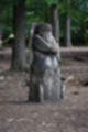 Beeldnr : 54 van 57
Naam : jj5q2813.jpg
Folder : fotos/jaren-201x/2019-2/borger/26-mei/
Formaat : 800 x 1200px
Thumb : 80 x 120px
Richting : Portret
Bloknr : 2 van 2
Beeldnrs : 51 tm 57
Beelden in blok : 7