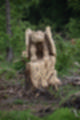 Beeldnr : 55 van 57
Naam : jj5q2814.jpg
Folder : fotos/jaren-201x/2019-2/borger/26-mei/
Formaat : 800 x 1200px
Thumb : 80 x 120px
Richting : Portret
Bloknr : 2 van 2
Beeldnrs : 51 tm 57
Beelden in blok : 7
