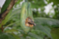 Beeldnr : 8 van 127
Naam : jj5r2831.jpg
Folder : fotos/jaren-201x/2019-2/borger/27-mei/
Formaat : 1200 x 800px
Thumb : 120 x 80px
Richting : Landschap
Bloknr : 1 van 3
Beeldnrs : 1 tm 50
Beelden in blok : 50
