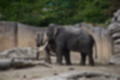 Beeldnr : 9 van 127
Naam : jj5r2834.jpg
Folder : fotos/jaren-201x/2019-2/borger/27-mei/
Formaat : 1200 x 800px
Thumb : 120 x 80px
Richting : Landschap
Bloknr : 1 van 3
Beeldnrs : 1 tm 50
Beelden in blok : 50