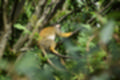 Beeldnr : 12 van 127
Naam : jj5r2838.jpg
Folder : fotos/jaren-201x/2019-2/borger/27-mei/
Formaat : 1200 x 800px
Thumb : 120 x 80px
Richting : Landschap
Bloknr : 1 van 3
Beeldnrs : 1 tm 50
Beelden in blok : 50