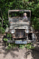 Beeldnr : 15 van 127
Naam : jj5r2844.jpg
Folder : fotos/jaren-201x/2019-2/borger/27-mei/
Formaat : 800 x 1200px
Thumb : 80 x 120px
Richting : Portret
Bloknr : 1 van 3
Beeldnrs : 1 tm 50
Beelden in blok : 50