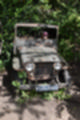 Beeldnr : 16 van 127
Naam : jj5r2846.jpg
Folder : fotos/jaren-201x/2019-2/borger/27-mei/
Formaat : 800 x 1200px
Thumb : 80 x 120px
Richting : Portret
Bloknr : 1 van 3
Beeldnrs : 1 tm 50
Beelden in blok : 50
