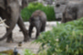 Beeldnr : 17 van 127
Naam : jj5r2850.jpg
Folder : fotos/jaren-201x/2019-2/borger/27-mei/
Formaat : 1200 x 800px
Thumb : 120 x 80px
Richting : Landschap
Bloknr : 1 van 3
Beeldnrs : 1 tm 50
Beelden in blok : 50