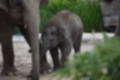 Beeldnr : 18 van 127
Naam : jj5r2851.jpg
Folder : fotos/jaren-201x/2019-2/borger/27-mei/
Formaat : 1200 x 800px
Thumb : 120 x 80px
Richting : Landschap
Bloknr : 1 van 3
Beeldnrs : 1 tm 50
Beelden in blok : 50