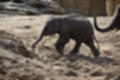 Beeldnr : 25 van 127
Naam : jj5r2868.jpg
Folder : fotos/jaren-201x/2019-2/borger/27-mei/
Formaat : 1200 x 800px
Thumb : 120 x 80px
Richting : Landschap
Bloknr : 1 van 3
Beeldnrs : 1 tm 50
Beelden in blok : 50
