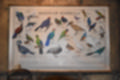 Beeldnr : 28 van 127
Naam : jj5r2873.jpg
Folder : fotos/jaren-201x/2019-2/borger/27-mei/
Formaat : 1200 x 800px
Thumb : 120 x 80px
Richting : Landschap
Bloknr : 1 van 3
Beeldnrs : 1 tm 50
Beelden in blok : 50