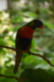 Beeldnr : 31 van 127
Naam : jj5r2880.jpg
Folder : fotos/jaren-201x/2019-2/borger/27-mei/
Formaat : 800 x 1200px
Thumb : 80 x 120px
Richting : Portret
Bloknr : 1 van 3
Beeldnrs : 1 tm 50
Beelden in blok : 50