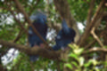 Beeldnr : 33 van 127
Naam : jj5r2884.jpg
Folder : fotos/jaren-201x/2019-2/borger/27-mei/
Formaat : 1200 x 800px
Thumb : 120 x 80px
Richting : Landschap
Bloknr : 1 van 3
Beeldnrs : 1 tm 50
Beelden in blok : 50
