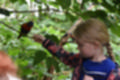 Beeldnr : 34 van 127
Naam : jj5r2885.jpg
Folder : fotos/jaren-201x/2019-2/borger/27-mei/
Formaat : 1200 x 800px
Thumb : 120 x 80px
Richting : Landschap
Bloknr : 1 van 3
Beeldnrs : 1 tm 50
Beelden in blok : 50