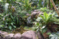 Beeldnr : 35 van 127
Naam : jj5r2890.jpg
Folder : fotos/jaren-201x/2019-2/borger/27-mei/
Formaat : 1200 x 800px
Thumb : 120 x 80px
Richting : Landschap
Bloknr : 1 van 3
Beeldnrs : 1 tm 50
Beelden in blok : 50