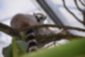 Beeldnr : 36 van 127
Naam : jj5r2891.jpg
Folder : fotos/jaren-201x/2019-2/borger/27-mei/
Formaat : 1200 x 800px
Thumb : 120 x 80px
Richting : Landschap
Bloknr : 1 van 3
Beeldnrs : 1 tm 50
Beelden in blok : 50