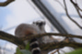 Beeldnr : 37 van 127
Naam : jj5r2892.jpg
Folder : fotos/jaren-201x/2019-2/borger/27-mei/
Formaat : 1200 x 800px
Thumb : 120 x 80px
Richting : Landschap
Bloknr : 1 van 3
Beeldnrs : 1 tm 50
Beelden in blok : 50