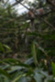 Beeldnr : 38 van 127
Naam : jj5r2894.jpg
Folder : fotos/jaren-201x/2019-2/borger/27-mei/
Formaat : 800 x 1200px
Thumb : 80 x 120px
Richting : Portret
Bloknr : 1 van 3
Beeldnrs : 1 tm 50
Beelden in blok : 50