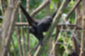 Beeldnr : 40 van 127
Naam : jj5r2896.jpg
Folder : fotos/jaren-201x/2019-2/borger/27-mei/
Formaat : 1200 x 800px
Thumb : 120 x 80px
Richting : Landschap
Bloknr : 1 van 3
Beeldnrs : 1 tm 50
Beelden in blok : 50