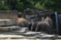 Beeldnr : 46 van 127
Naam : jj5r2912.jpg
Folder : fotos/jaren-201x/2019-2/borger/27-mei/
Formaat : 1200 x 800px
Thumb : 120 x 80px
Richting : Landschap
Bloknr : 1 van 3
Beeldnrs : 1 tm 50
Beelden in blok : 50