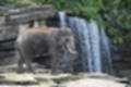Beeldnr : 47 van 127
Naam : jj5r2916.jpg
Folder : fotos/jaren-201x/2019-2/borger/27-mei/
Formaat : 1200 x 800px
Thumb : 120 x 80px
Richting : Landschap
Bloknr : 1 van 3
Beeldnrs : 1 tm 50
Beelden in blok : 50