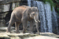 Beeldnr : 48 van 127
Naam : jj5r2917.jpg
Folder : fotos/jaren-201x/2019-2/borger/27-mei/
Formaat : 1200 x 800px
Thumb : 120 x 80px
Richting : Landschap
Bloknr : 1 van 3
Beeldnrs : 1 tm 50
Beelden in blok : 50