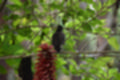 Beeldnr : 52 van 127
Naam : jj5r2923.jpg
Folder : fotos/jaren-201x/2019-2/borger/27-mei/
Formaat : 1200 x 800px
Thumb : 120 x 80px
Richting : Landschap
Bloknr : 2 van 3
Beeldnrs : 51 tm 100
Beelden in blok : 50
