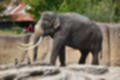 Beeldnr : 53 van 127
Naam : jj5r2927.jpg
Folder : fotos/jaren-201x/2019-2/borger/27-mei/
Formaat : 1200 x 800px
Thumb : 120 x 80px
Richting : Landschap
Bloknr : 2 van 3
Beeldnrs : 51 tm 100
Beelden in blok : 50