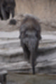 Beeldnr : 55 van 127
Naam : jj5r2931.jpg
Folder : fotos/jaren-201x/2019-2/borger/27-mei/
Formaat : 800 x 1200px
Thumb : 80 x 120px
Richting : Portret
Bloknr : 2 van 3
Beeldnrs : 51 tm 100
Beelden in blok : 50
