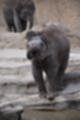 Beeldnr : 56 van 127
Naam : jj5r2932.jpg
Folder : fotos/jaren-201x/2019-2/borger/27-mei/
Formaat : 800 x 1200px
Thumb : 80 x 120px
Richting : Portret
Bloknr : 2 van 3
Beeldnrs : 51 tm 100
Beelden in blok : 50
