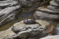 Beeldnr : 58 van 127
Naam : jj5r2936.jpg
Folder : fotos/jaren-201x/2019-2/borger/27-mei/
Formaat : 1200 x 800px
Thumb : 120 x 80px
Richting : Landschap
Bloknr : 2 van 3
Beeldnrs : 51 tm 100
Beelden in blok : 50