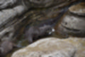 Beeldnr : 59 van 127
Naam : jj5r2939.jpg
Folder : fotos/jaren-201x/2019-2/borger/27-mei/
Formaat : 1200 x 800px
Thumb : 120 x 80px
Richting : Landschap
Bloknr : 2 van 3
Beeldnrs : 51 tm 100
Beelden in blok : 50