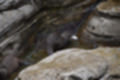Beeldnr : 60 van 127
Naam : jj5r2940.jpg
Folder : fotos/jaren-201x/2019-2/borger/27-mei/
Formaat : 1200 x 800px
Thumb : 120 x 80px
Richting : Landschap
Bloknr : 2 van 3
Beeldnrs : 51 tm 100
Beelden in blok : 50