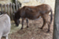 Beeldnr : 68 van 127
Naam : jj5r2961.jpg
Folder : fotos/jaren-201x/2019-2/borger/27-mei/
Formaat : 1200 x 800px
Thumb : 120 x 80px
Richting : Landschap
Bloknr : 2 van 3
Beeldnrs : 51 tm 100
Beelden in blok : 50