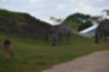Beeldnr : 83 van 127
Naam : jj5r2992.jpg
Folder : fotos/jaren-201x/2019-2/borger/27-mei/
Formaat : 1200 x 800px
Thumb : 120 x 80px
Richting : Landschap
Bloknr : 2 van 3
Beeldnrs : 51 tm 100
Beelden in blok : 50