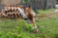 Beeldnr : 94 van 127
Naam : jj5r3020.jpg
Folder : fotos/jaren-201x/2019-2/borger/27-mei/
Formaat : 1200 x 800px
Thumb : 120 x 80px
Richting : Landschap
Bloknr : 2 van 3
Beeldnrs : 51 tm 100
Beelden in blok : 50