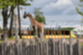 Beeldnr : 97 van 127
Naam : jj5r3029.jpg
Folder : fotos/jaren-201x/2019-2/borger/27-mei/
Formaat : 1200 x 800px
Thumb : 120 x 80px
Richting : Landschap
Bloknr : 2 van 3
Beeldnrs : 51 tm 100
Beelden in blok : 50