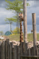 Beeldnr : 98 van 127
Naam : jj5r3032.jpg
Folder : fotos/jaren-201x/2019-2/borger/27-mei/
Formaat : 800 x 1200px
Thumb : 80 x 120px
Richting : Portret
Bloknr : 2 van 3
Beeldnrs : 51 tm 100
Beelden in blok : 50