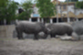Beeldnr : 99 van 127
Naam : jj5r3037.jpg
Folder : fotos/jaren-201x/2019-2/borger/27-mei/
Formaat : 1200 x 800px
Thumb : 120 x 80px
Richting : Landschap
Bloknr : 2 van 3
Beeldnrs : 51 tm 100
Beelden in blok : 50