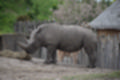 Beeldnr : 106 van 127
Naam : jj5r3061.jpg
Folder : fotos/jaren-201x/2019-2/borger/27-mei/
Formaat : 1200 x 800px
Thumb : 120 x 80px
Richting : Landschap
Bloknr : 3 van 3
Beeldnrs : 101 tm 127
Beelden in blok : 27