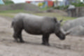 Beeldnr : 109 van 127
Naam : jj5r3073.jpg
Folder : fotos/jaren-201x/2019-2/borger/27-mei/
Formaat : 1200 x 800px
Thumb : 120 x 80px
Richting : Landschap
Bloknr : 3 van 3
Beeldnrs : 101 tm 127
Beelden in blok : 27