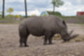Beeldnr : 110 van 127
Naam : jj5r3076.jpg
Folder : fotos/jaren-201x/2019-2/borger/27-mei/
Formaat : 1200 x 800px
Thumb : 120 x 80px
Richting : Landschap
Bloknr : 3 van 3
Beeldnrs : 101 tm 127
Beelden in blok : 27