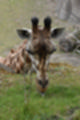Beeldnr : 118 van 127
Naam : jj5r3116.jpg
Folder : fotos/jaren-201x/2019-2/borger/27-mei/
Formaat : 800 x 1200px
Thumb : 80 x 120px
Richting : Portret
Bloknr : 3 van 3
Beeldnrs : 101 tm 127
Beelden in blok : 27