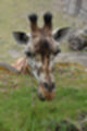 Beeldnr : 119 van 127
Naam : jj5r3118.jpg
Folder : fotos/jaren-201x/2019-2/borger/27-mei/
Formaat : 800 x 1200px
Thumb : 80 x 120px
Richting : Portret
Bloknr : 3 van 3
Beeldnrs : 101 tm 127
Beelden in blok : 27