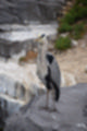 Beeldnr : 125 van 127
Naam : jj5r3144.jpg
Folder : fotos/jaren-201x/2019-2/borger/27-mei/
Formaat : 800 x 1200px
Thumb : 80 x 120px
Richting : Portret
Bloknr : 3 van 3
Beeldnrs : 101 tm 127
Beelden in blok : 27